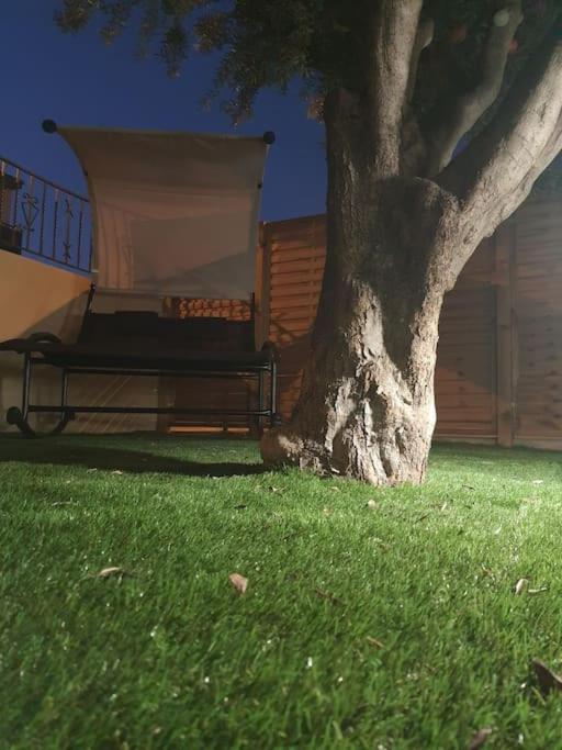 Superbe Appartement Avec Jacuzzi Et Exterieur Perpignan Ngoại thất bức ảnh